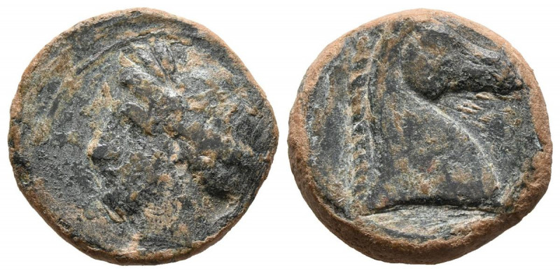 CARTAGONOVA (Cartagena, Murcia). Calco. (Ae. 5,07g/19mm). 220-215 a.C. (FAB-510)...