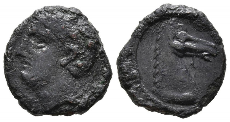 CARTAGONOVA (Cartagena, Murcia). 1/4 Calco. (Ae. 2,10g/15mm). 220-205 a.C. (FAB-...