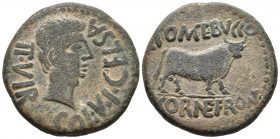 CELSE (Velilla del Ebro, Zaragoza). As. (Ae. 18,95g/30mm). 27 a.C.-14 d.C. (FAB-804). Anv: Cabeza de Augusto a derecha, alrededor leyenda: COL V I CEL...