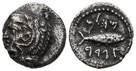 GADES (Cádiz). Hemidracma. (Ar. 2,21g/16mm). 200-100 a.C. (FAB-1308). Anv: Cabeza de Melkart a izquierda con piel de león. Rev: Atún a derecha, entre ...