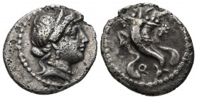 GENS CORNELIA. Denario. (Ar. 3,82g/19mm). 81 a.C. Acuñaciones orientales. Anv: Cabeza diademada de Venus a derecha. Rev: Doble cornucopia, debajo: Q. ...