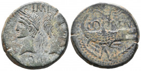 AUGUSTO. As. (Ae. 12,80g/26mm). 10-14 d.C. Colonia Nemasus. (RIC 158). Anv: Busto laureado de Augusto a izquierda, detrás busto laureado de Agripa a d...
