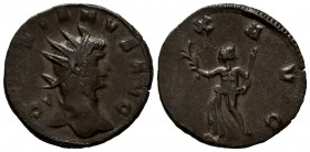 GALIENO. Antoniniano. (Ae. 3,28g/21mm). 267-268 d.C. Roma. (RIC 256 var). Anv: Cabeza radiada de Galieno a derecha, alrededor leyenda: GALLIENVS AVG. ...