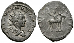 VALERIANO II. Antoniniano. (Ar. 3,79g/24mm). 253-254 d.C. Colonia Agripensis. (RIC 3). Anv: Busto radiado y drapeado de Valeriano II a derecha, alrede...