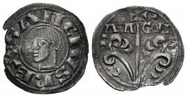 SANCHO RAMÍREZ (1063-1094). Dinero (Ve. 0,86g/17mm). S/D. Jaca (Huesca, Reino de Navarra y Aragón). Anv: efigie del rey a izquierda con tres perlas en...