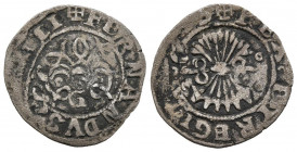 REYES CATÓLICOS (1474-1504). 1/2 Real (Ar. 1,56g/20mm). S/D. Granada. Marca de ceca G latina. (Cal-2019-227). BC.