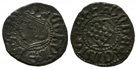 CARLOS I (1516-1556). Diner (Ae. 0,83g/15mm). S/D. Gerona. (Cal-2019-7). Busto a izquierda. MBC.