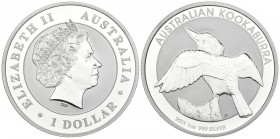 AUSTRALIA. 1 Dollar (Ar.31,84g/40mm). 2011. Perth. P. Kookaburra. Plata de 0,999 milésimas. PROOF.