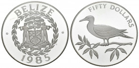 BELICE. 50 Dollars. (Ar. 129,41g/63mm). 1985. Bird Conservation. (Km#81). Plata de 0,925 milésimas. PROOF.
