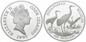ISLAS COOK. 100 Dóllars (Ar.156,72g/65mm). 1993. Fauna en peligro de extinción. (Km#158). PROOF. Incluye certificado de autenticidad.
