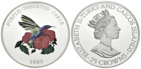 TURKS Y CAICOS. 25 Crowns. (Ar. 155,85g/63mm). 1995. Purple Throated Carib. (Km#209). Plata de 0,999 milésimas. PROOF.
