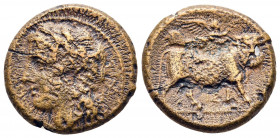 Bronze Æ
Campania. Neapolis, c. 270-240 BC
19 mm, 5,55 g