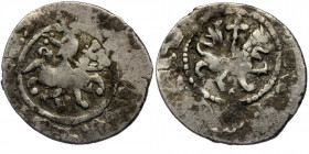 Takvorin AR
Kingdom of Armenia, Oshin (1308-1320), King on horseback holding scepter / Lion walking before cross
20 mm, 20 g
Ner. 442V