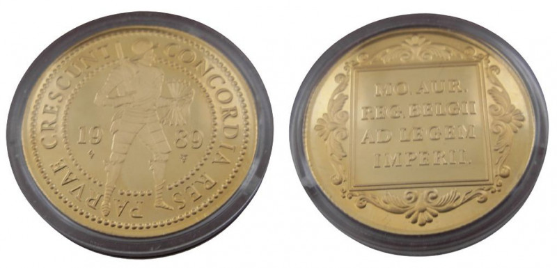 Ducat AV
Netherlands, 1989, Utrecht
3,50 g