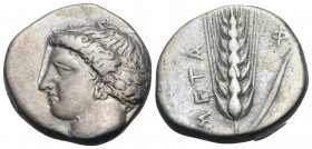 LUCANIA. Metapontum. Circa 400-340 BC. Stater (Silver, 20 mm, 7.71 g, 10 h). Head of Demeter facing to left, her hair bound by a net, wearing a double...
