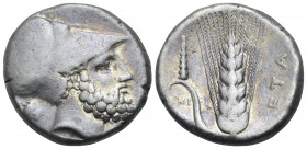 LUCANIA. Metapontum. Circa 340-330 BC. Nomos or Didrachm (Silver, 20 mm, 8.02 g, 9 h), Ami.... Head of Leukippos to right, wearing Corinthian helmet; ...