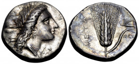 LUCANIA. Metapontum. Circa 330-290 BC. Didrachm or nomos (Silver, 20.5 mm, 7.82 g, 10 h). Head of Demeter to right, wearing wreath of barley ears and ...