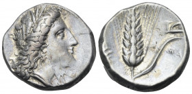 LUCANIA. Metapontum. Circa 330-290 BC. Didrachm or nomos (Silver, 19 mm, 7.93 g, 2 h). Head of Demeter to right, wearing wreath of barley ears and tri...
