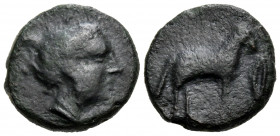 SICILY. Nakone. Circa 420-400 BC. Onkia (Bronze, 15 mm, 3.91 g, 8 h). [NAKONAIΩΝ] Head of nymph to right. Rev. Goat standing to right; above, pellet; ...