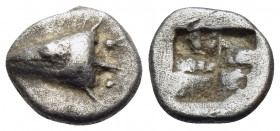 MYSIA. Kyzikos. Circa 550-500 BC. Hemiobol (Silver, 7.5 mm, 0.61 g). Head of tunny to left. Rev. Quadripartite incuse square. Von Fritze I 3. SNG BN 3...