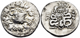 MYSIA. Pergamon. Circa 166-67 BC. Cistophoric Tetradrachm (Silver, 25 mm, 11.99 g, 12 h), circa 76 BC. Basket ( cista mystica ) from which snake coils...