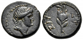 SYRIA, Seleucis and Pieria. Antioch. Pseudo-autonomous issue, Time of Nero, 54-68. Hemiassarion (Bronze, 15 mm, 0.99 g, 2 h), ZIP = year 117 = 68-69. ...