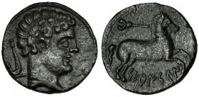 SETEISKEN, Sástago (Zaragoza). Mitad. A/ Cabeza masculina a der.; marca: arado. R/ Caballo saltando a der., encima caduceo; SETeISKeN. AE 5,5 g. I-221...