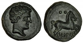 SETEISKEN, Sástago (Zaragoza). Cuarto. A/ Cabeza masculina a der.; marca: arado. R/ Caballo saltando a der., encima tres puntos; SETeISKeN. AE 3,7 g. ...
