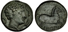 SETEISKEN, Sástago (Zaragoza). Mitad. A/ Marcas: creciente y dos delfines. R/ Caballo saltando a der.; SETeIS. AE 7,8 g. I-2216. VIL-220/6. Pátina ver...