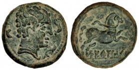 SETEISKEN, Sástago (Zaragoza). Mitad. A/ Marca: tres delfines. R/ Caballo saltando a der.; SETeISKeN. AE-6,2 g. I-2216, por acuñación defectuosa, inte...