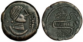 ULIA, Montemayor (Córdoba). As. A/ Marcas: X, espiga y creciente. R/ Ramas de vid; VLIA. AE 16,8 g. I-2492. VIL-366/3 vte., por X tras la cabeza. MBC+...