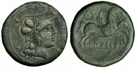 UNTIKESKEN, La Escala (Gerona). As. A/ Cabeza de Palas a der., delante letras ibéricas: E I. R/ Pegaso-crisaor a der., encima láurea y a der. toro; UN...