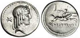 CALPURNIA. Denario. Roma. FFC-24f. SB-24g. EBC-.