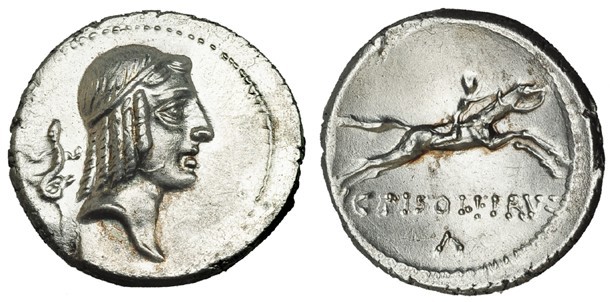 CALPURNIA. Denario. Roma (64 a.C.). A/ Cabeza de Apolo a der., detrás lagartija....