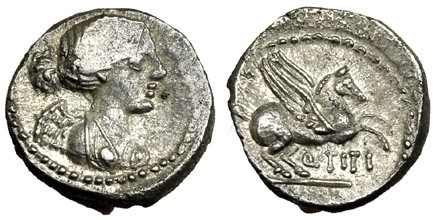 TITIA. Quinario. Roma (90 a.C.). A/ La Victoria drapeada a der. R/ Pegaso a der....