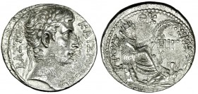AUGUSTO. Seleucis y Pieria. Antioquía (2 a. C.). Tetradracma. R/ Tyche sentada a der. sosteniendo palma, a la der Orontes. PR-54. Leve plata agria. EB...