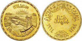 EGIPTO. 10 libras. 1384H-1964. KM-409. SC.