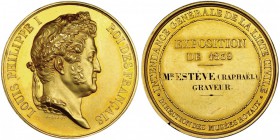 FRANCIA. Medalla. Dirección de museos reales. Exposición de 1839. Luis Felipe I. AU 48. Ø 41,4mm. Pequeñas marcas. EBC+.