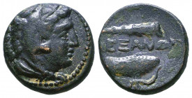 KINGS OF MACEDON. Alexander III 'the Great' (336-323 BC). Ae. 

Condition: Very Fine

Weight: 5,2 gr
Diameter: 17,6 mm