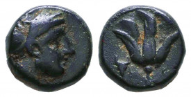 ISLANDS off CARIA, Rhodos. Rhodes. Circa 88 BC. Æ

Condition: Very Fine

Weight: 1,6 gr
Diameter: 10,1 mm