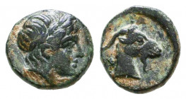 Aeolis. Aigai circa 200-0 BC.

Condition: Very Fine

Weight: 0,7 gr
Diameter: 9,3 mm