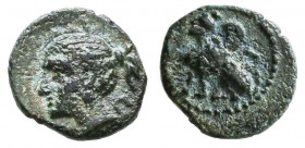 Pamphylia, Perge. Circa 260-230 B.C. AE 

Condition: Very Fine

Weight: 1 gr
Diameter: 11,1 mm