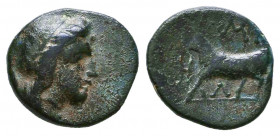 Greek Coins, Ae.

Condition: Very Fine

Weight: 1,2 gr
Diameter: 12,2 mm