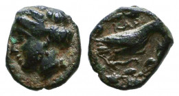 Greek Coins, Ae.

Condition: Very Fine

Weight: 0,7 gr
Diameter: 9 mm
