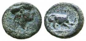Greek Coins, Ae.

Condition: Very Fine

Weight: 1,8 gr
Diameter: 13,3 mm