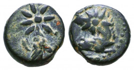 PONTOS. Uncertain. Time of Mithradates VI, circa 130-100 BC. AE.

Condition: Very Fine

Weight: 1,9 gr
Diameter: 11,6 mm