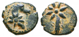 PONTOS. Uncertain. Time of Mithradates VI, circa 130-100 BC. AE.

Condition: Very Fine

Weight: 1,7 gr
Diameter: 12,9 mm