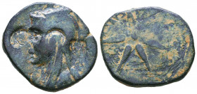 PONTOS. Uncertain. Time of Mithradates VI, circa 130-100 BC. AE.

Condition: Very Fine

Weight: 20,2 gr
Diameter: 30,3 mm