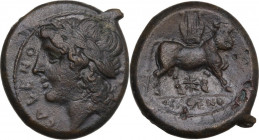 Greek Italy. Samnium, Southern Latium and Northern Campania, Cales. AE 22 mm. c. 265-240 BC. HN Italy 436; SNG Cop. 311. AE. 7.19 g. 22.00 mm. A choic...
