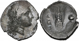 Greek Italy. Southern Lucania, Metapontum. AR Stater, c. 340-330. Cf. HN Italy 1568. AR. 7.81 g. 24.00 mm. R. Great metal. A choice example, struck on...